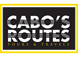 Whale Watch Cabo Transportation Provider