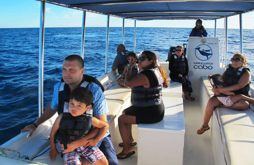 Private Tour Whale Watching Cabo San Lucas